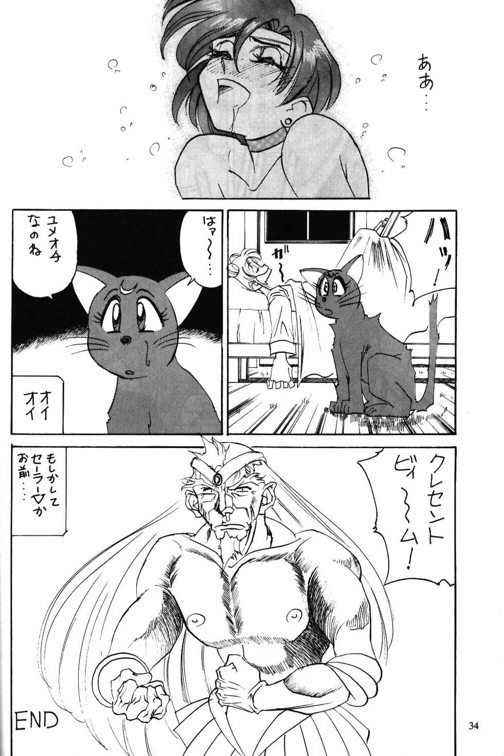 (C43) [Yamamoto J.K. (Various)] Air Jordan (Bishoujo Senshi Sailor Moon) - Page 34