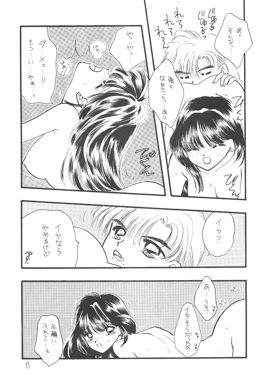 [SAILORQ2 (RYÖ, Den)] Ayakaritai65 (Bishoujo Senshi Sailor Moon) - Page 15