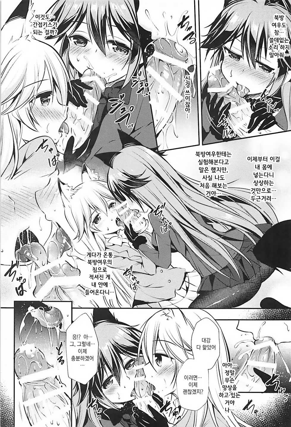 (C93) [Apple Effect (MurasakiO)] Ero Shoujo Gingitsune-chan | 에로 소녀 은여우 쨩 (Kemono Friends) [Korean] - Page 11