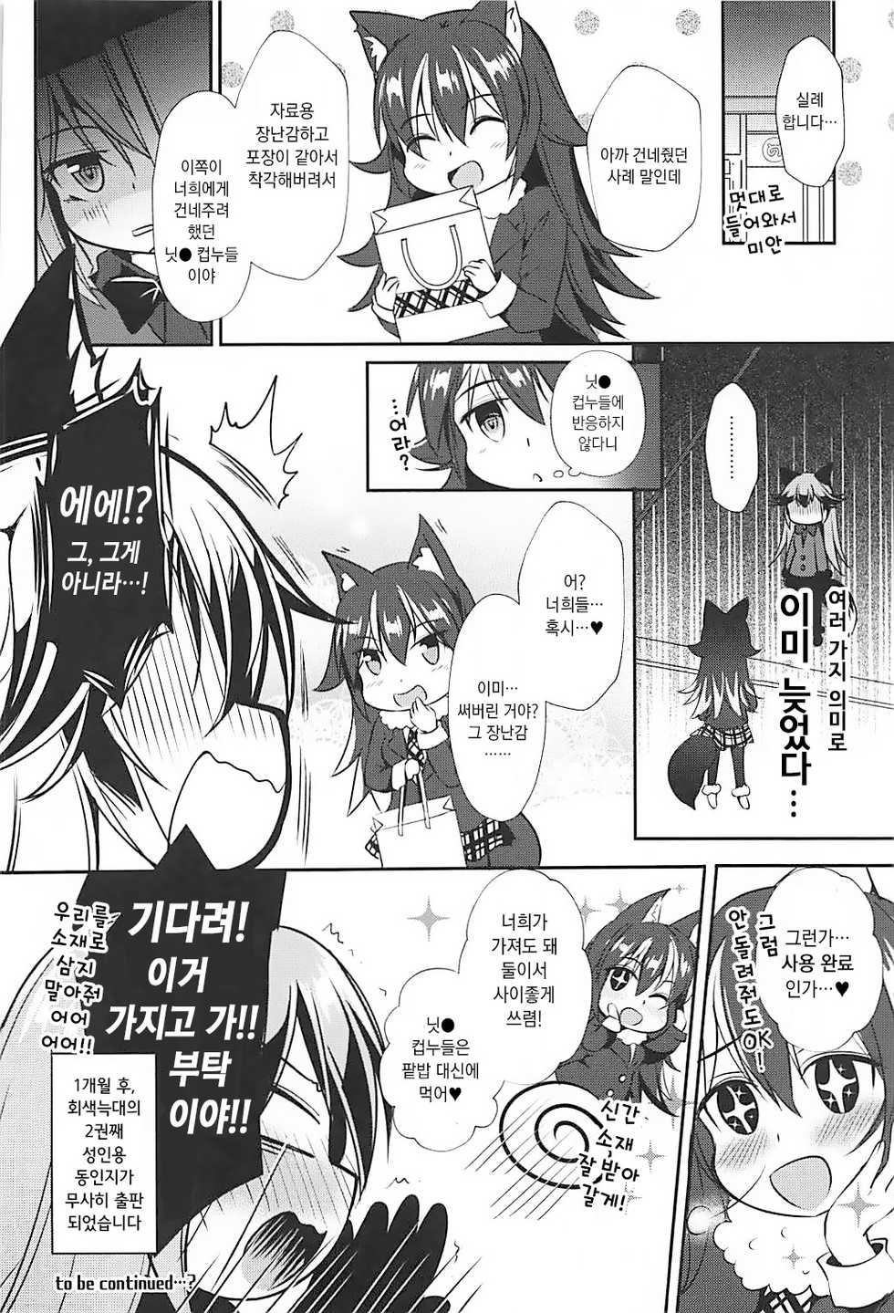 (C93) [Apple Effect (MurasakiO)] Ero Shoujo Gingitsune-chan | 에로 소녀 은여우 쨩 (Kemono Friends) [Korean] - Page 20