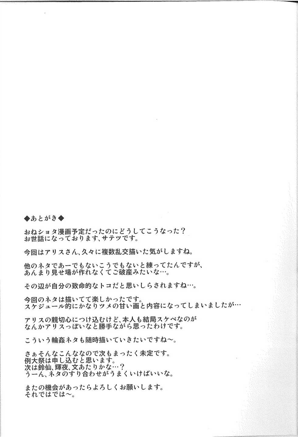 (C93) [Satellites (Satetsu)] ALICE INN (Touhou Project) [Korean] [팀☆미르] - Page 20