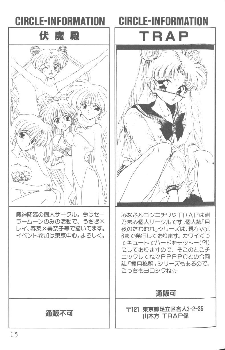 [Anthology] From The Moon 2 (Bishoujo Senshi Sailor Moon) - Page 14