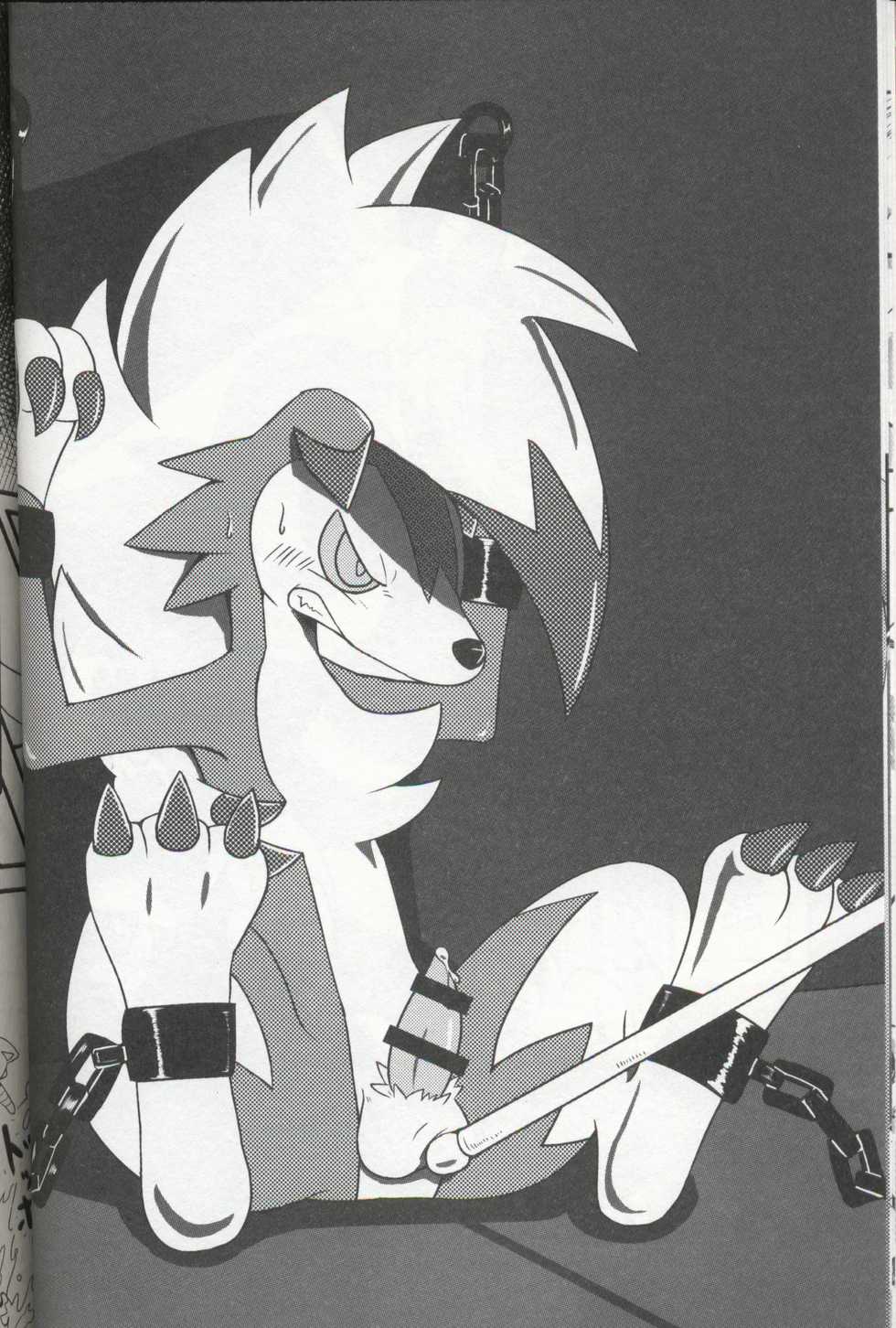 (C93) [Odoshiro Canvas (Various)] DOGDAY! (Pokémon) [Chinese] [虾皮汉化组] - Page 11