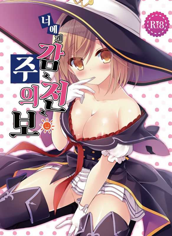 (C91) [Ryuknigthia (Kiduki Erika)] Kimi ni Kanden Chuuihou | 너에게 감전 주의보 (Granblue Fantasy) [Korean] [시뮬라시옹] - Page 2