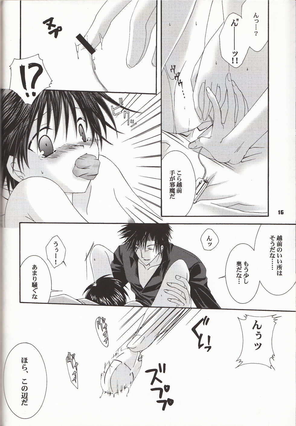 (CCTokyo98) [LOVESEAT (Yuhka, Michiyo)] special holiday (Prince of Tennis) - Page 15
