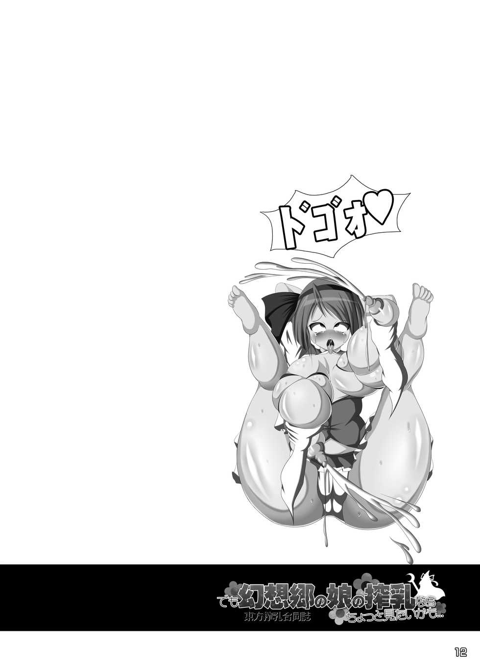 [Nijusei, Ohnegs (Various)] Touhou Sakunyuu Goudoushi Demo Gensoukyou no Musume no Sakunyuu nara Chotto Mitai kamo... (Touhou Project) [Digital] - Page 11