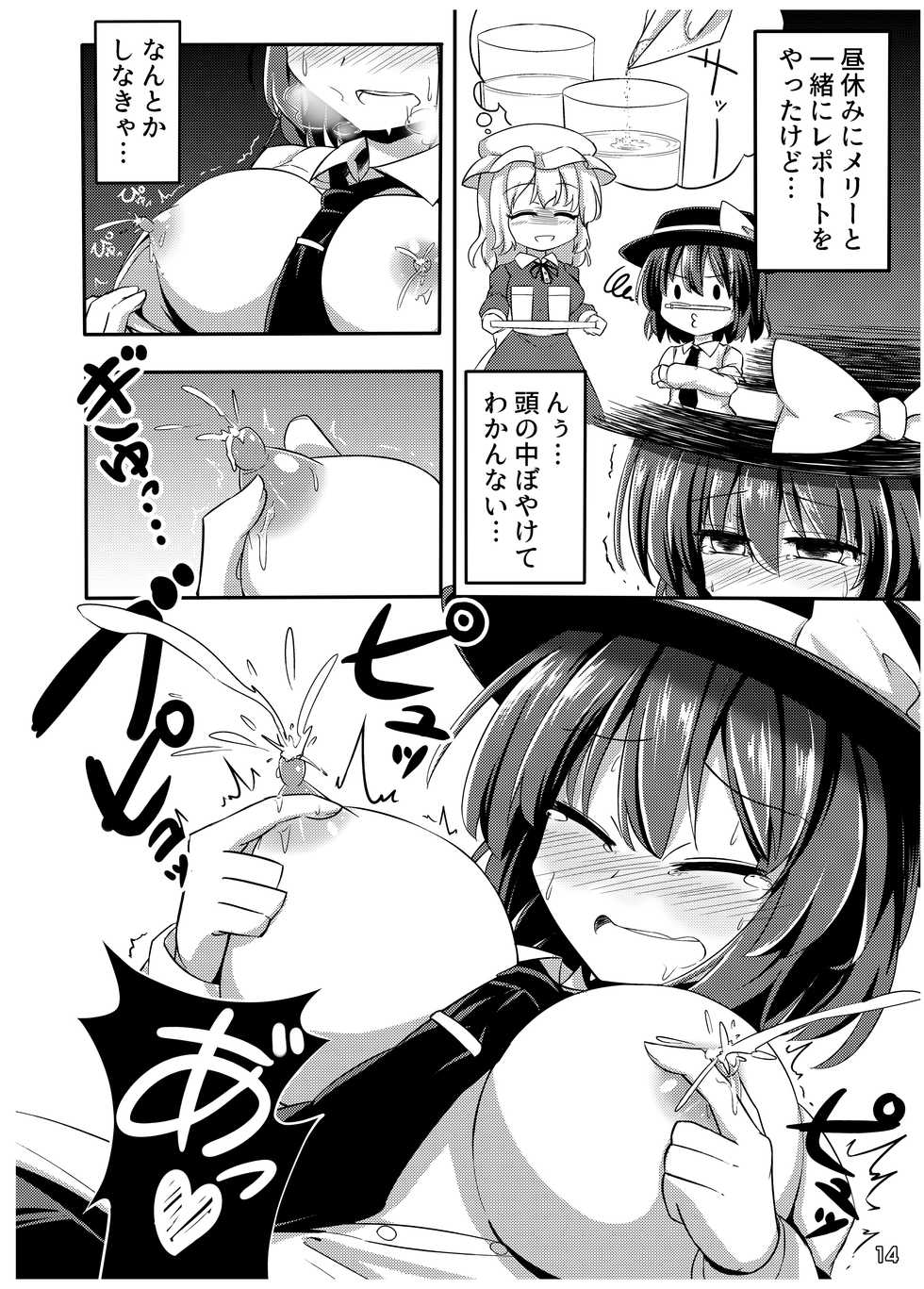 [Nijusei, Ohnegs (Various)] Touhou Sakunyuu Goudoushi Demo Gensoukyou no Musume no Sakunyuu nara Chotto Mitai kamo... (Touhou Project) [Digital] - Page 13