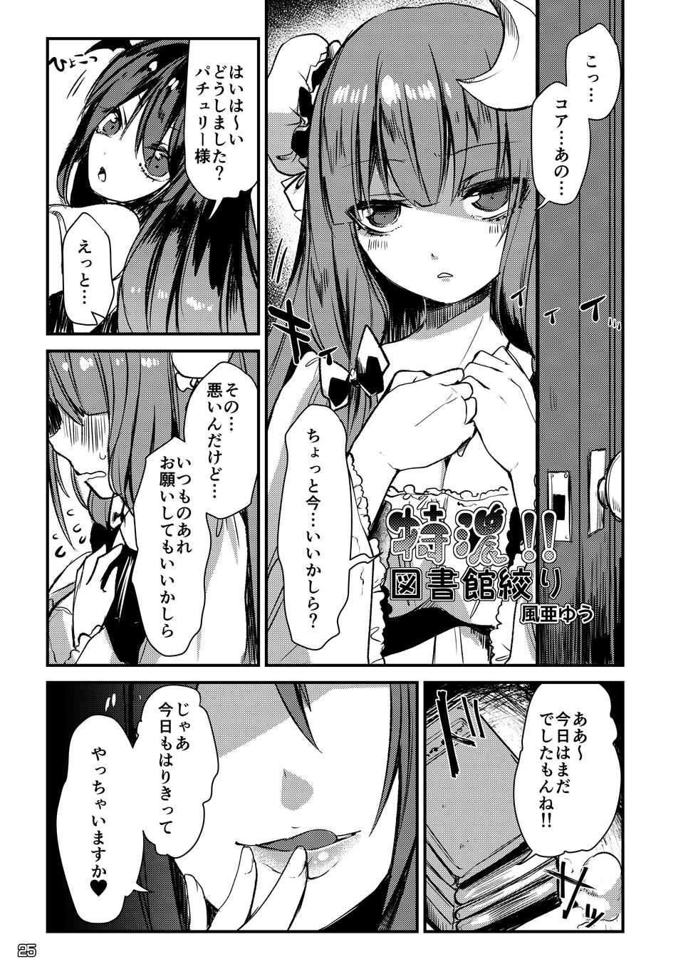 [Nijusei, Ohnegs (Various)] Touhou Sakunyuu Goudoushi Demo Gensoukyou no Musume no Sakunyuu nara Chotto Mitai kamo... (Touhou Project) [Digital] - Page 24