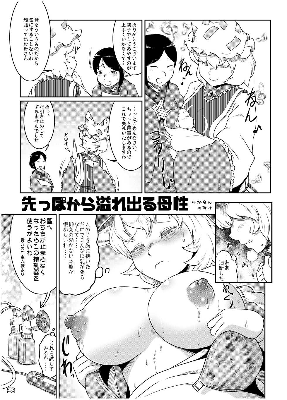 [Nijusei, Ohnegs (Various)] Touhou Sakunyuu Goudoushi Demo Gensoukyou no Musume no Sakunyuu nara Chotto Mitai kamo... (Touhou Project) [Digital] - Page 28