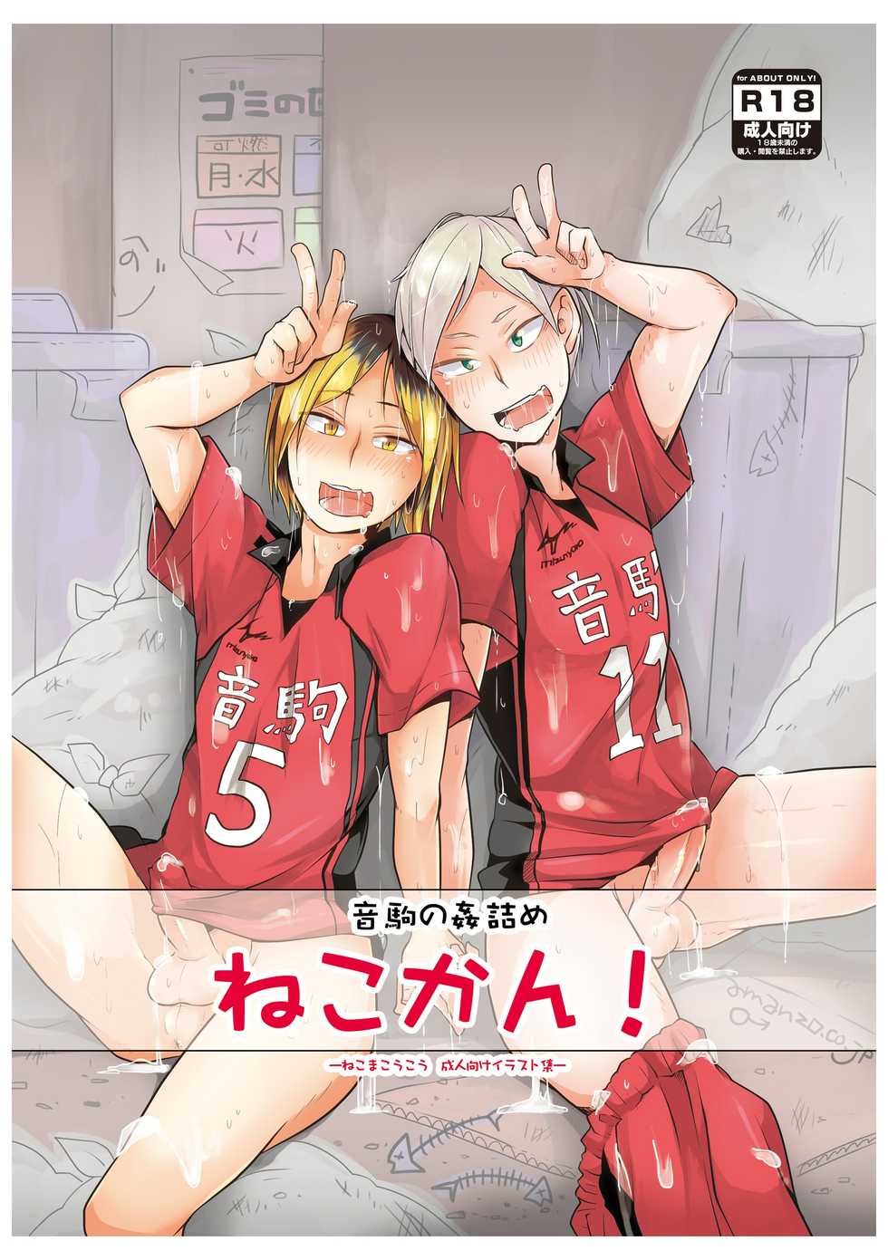 [maguro. (yukina)] NekomaeroCG (Haikyuu!!) - Page 1