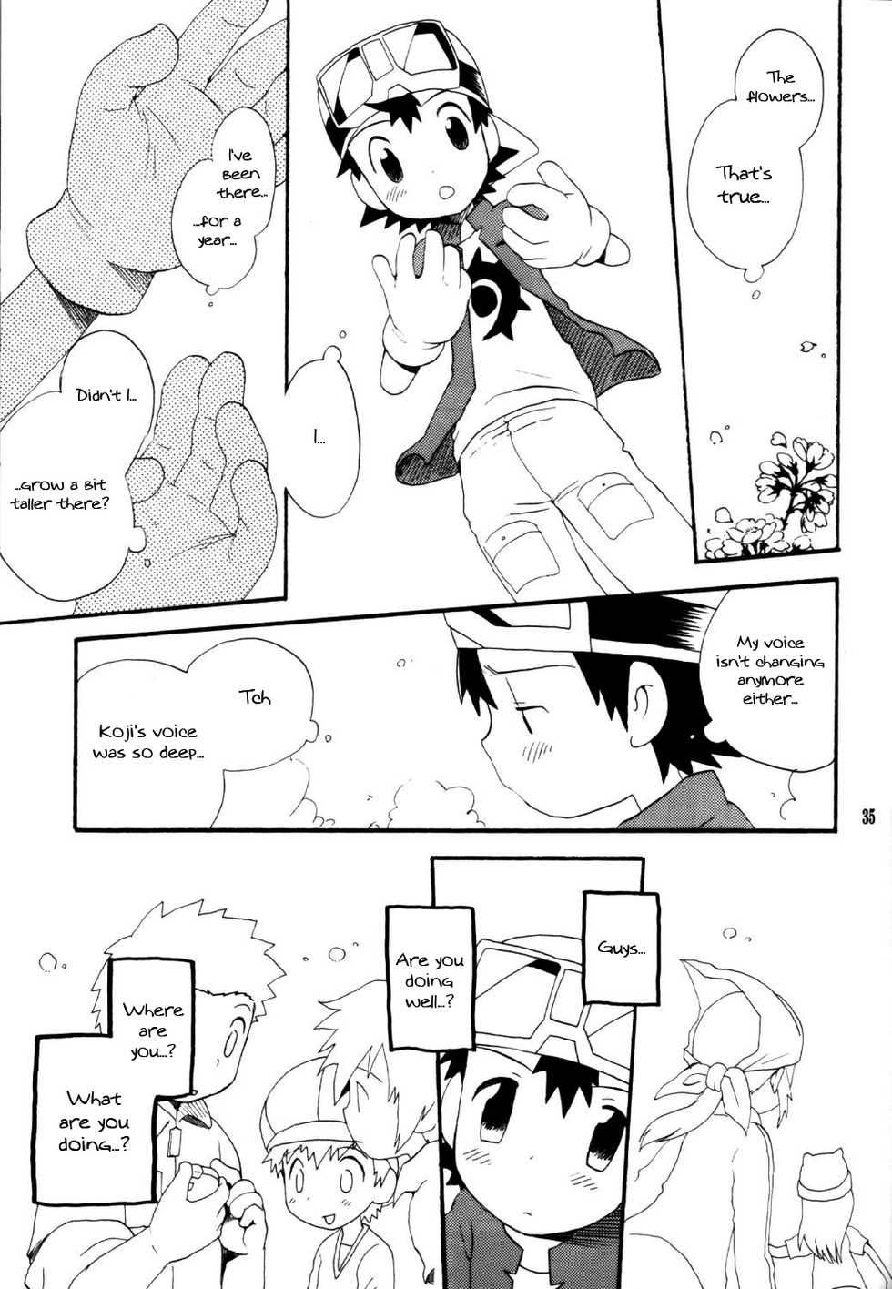 [KuruGuru DNA (Hoshiai Hilo)] Inazuma Rock Dome (Digimon Frontier) [English] {Shotachan} - Page 34