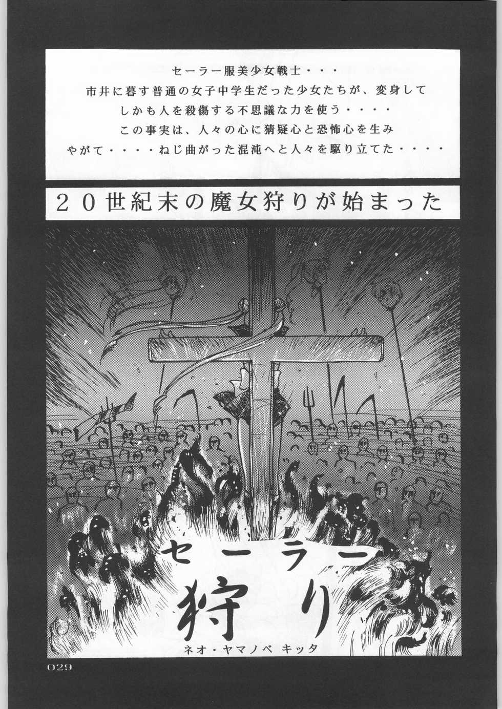 (C45) [Uroboros (Various)] Paraselene (Bishoujo Senshi Sailor Moon) - Page 30