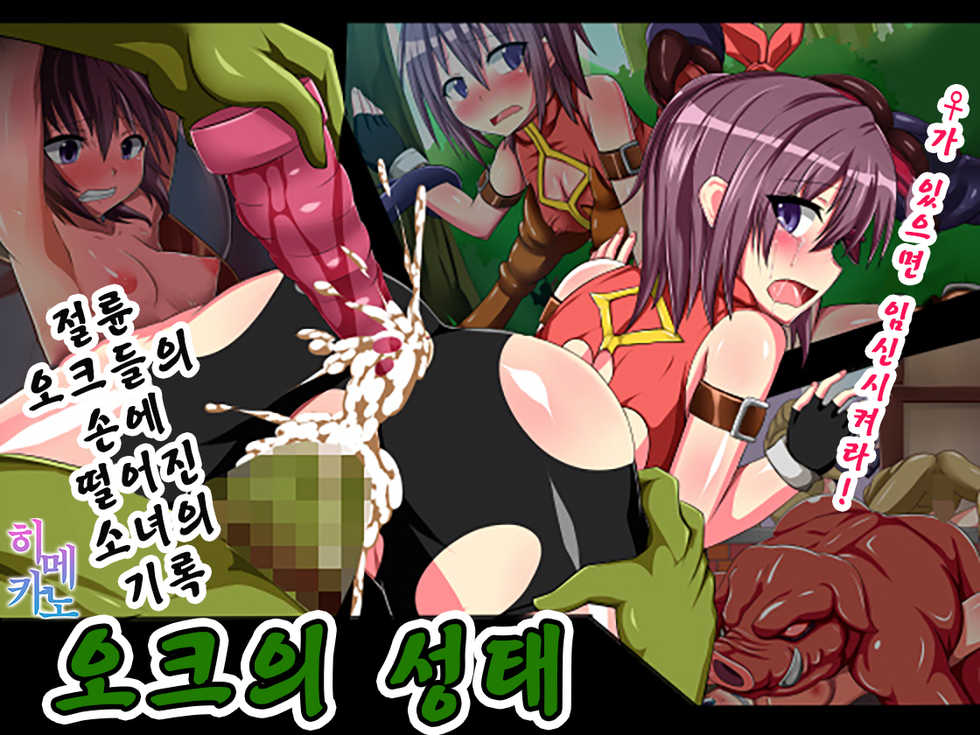 [Umidori] Orc no Seitai [Korean] [팀☆데레마스] - Page 2