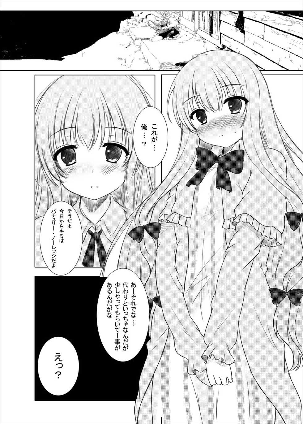 (C85) [Aki no Yonaga ni Yoiyami ni (Nagatsuki Rio)] Happy Magical (Touhou Project) - Page 3