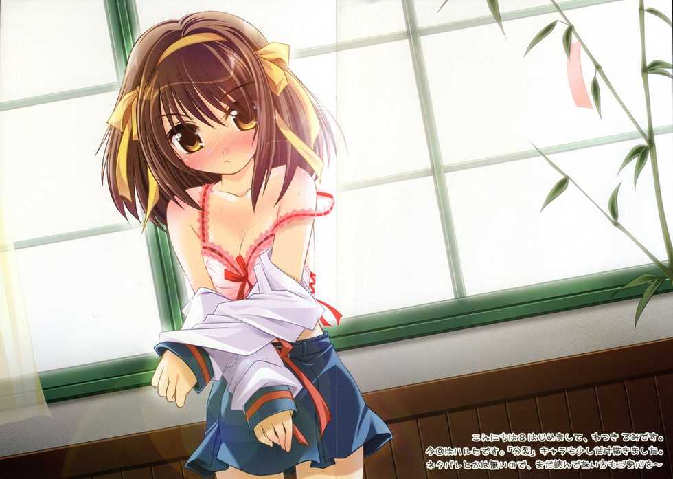 (COMIC1) [Watsukiya (Watsuki Ayamo)] Purimo#2 (The Melancholy of Haruhi Suzumiya) (Joined Image) - Page 2