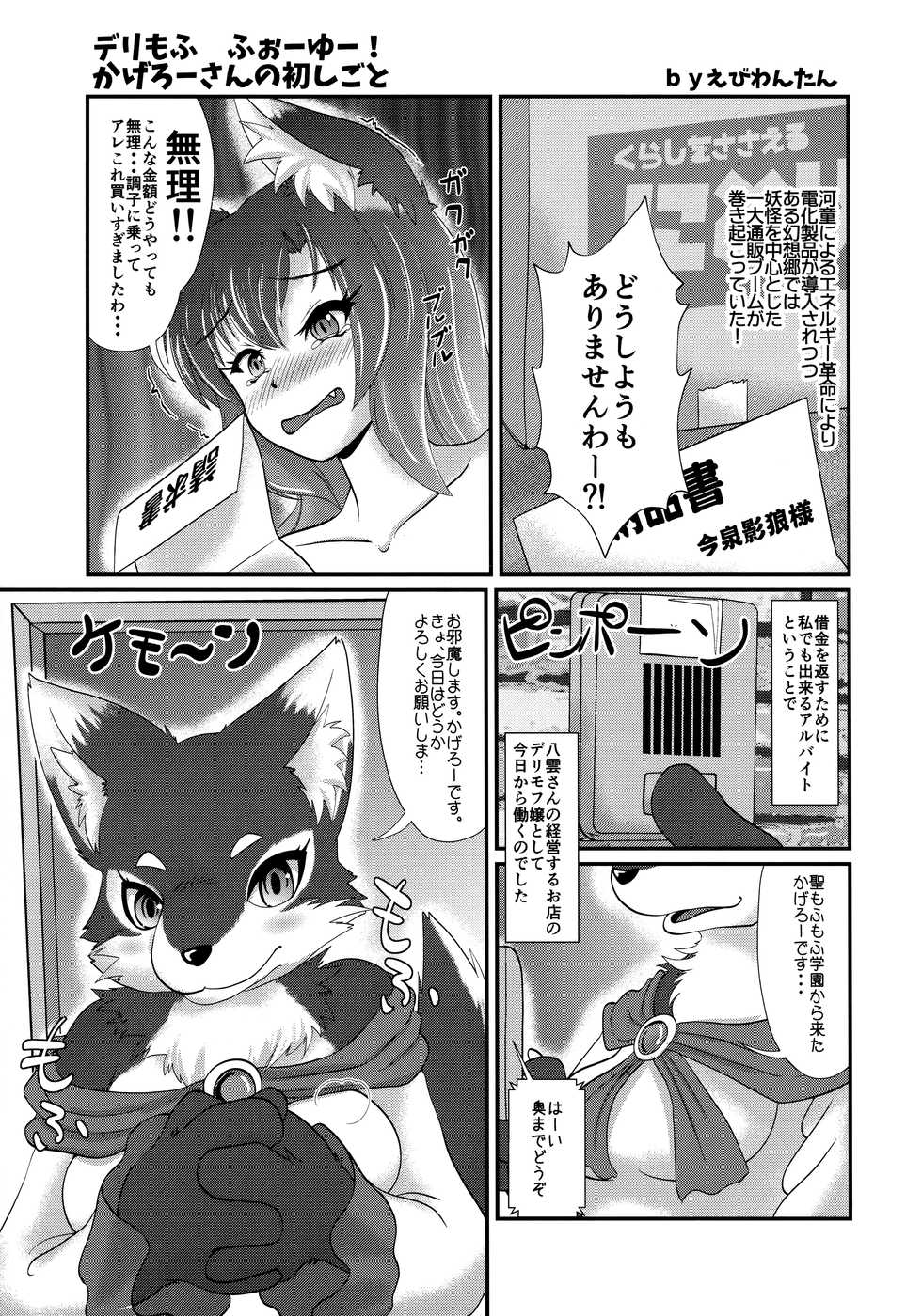 (Kemoket 6) [Kitsunenomori (Various)] DeliMofu 4U (Touhou Project) - Page 4