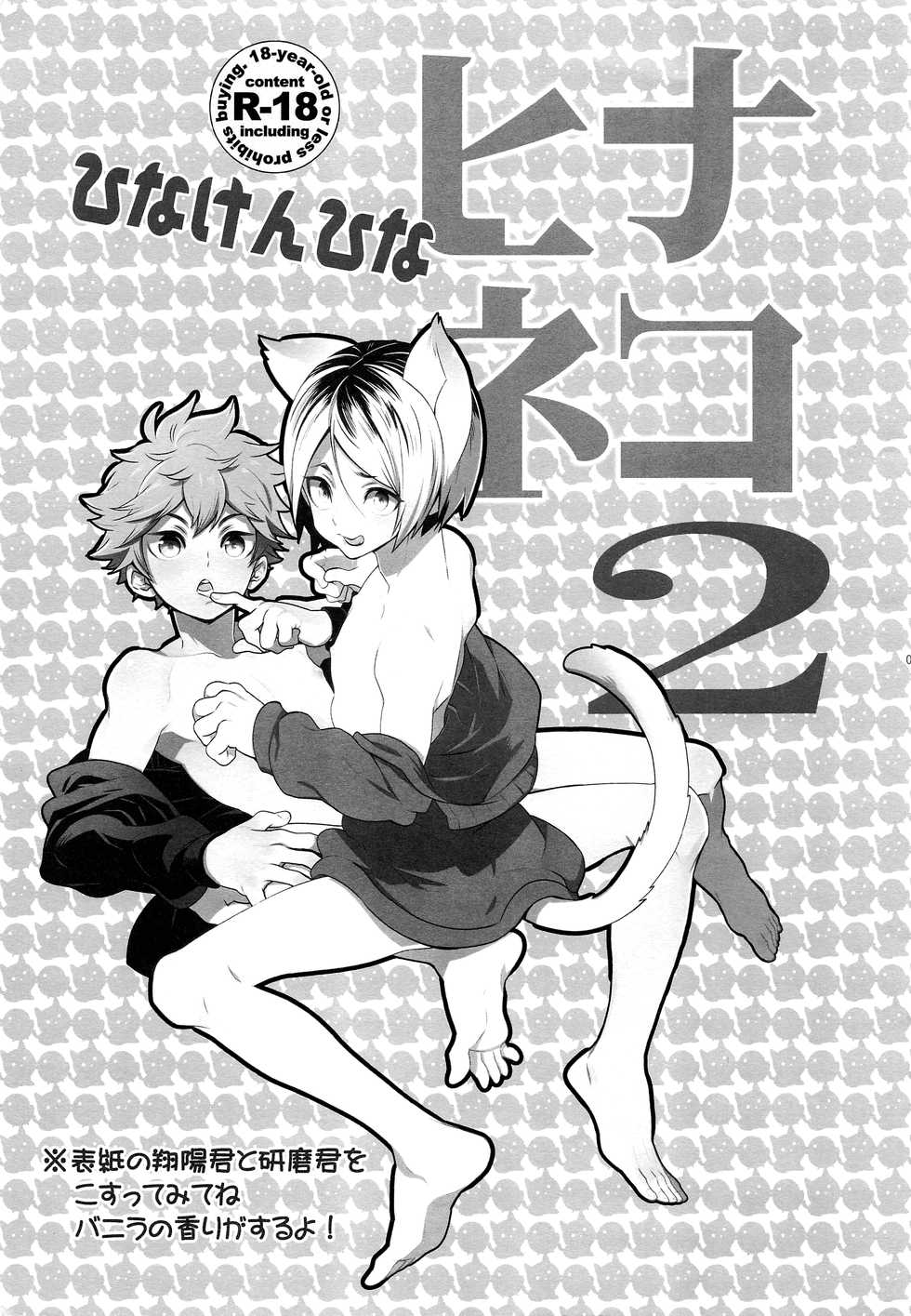 (RTS!!5) [Chigen TORINO (Kosugi)] Hina Neko 2 (Haikyuu!!) - Page 2