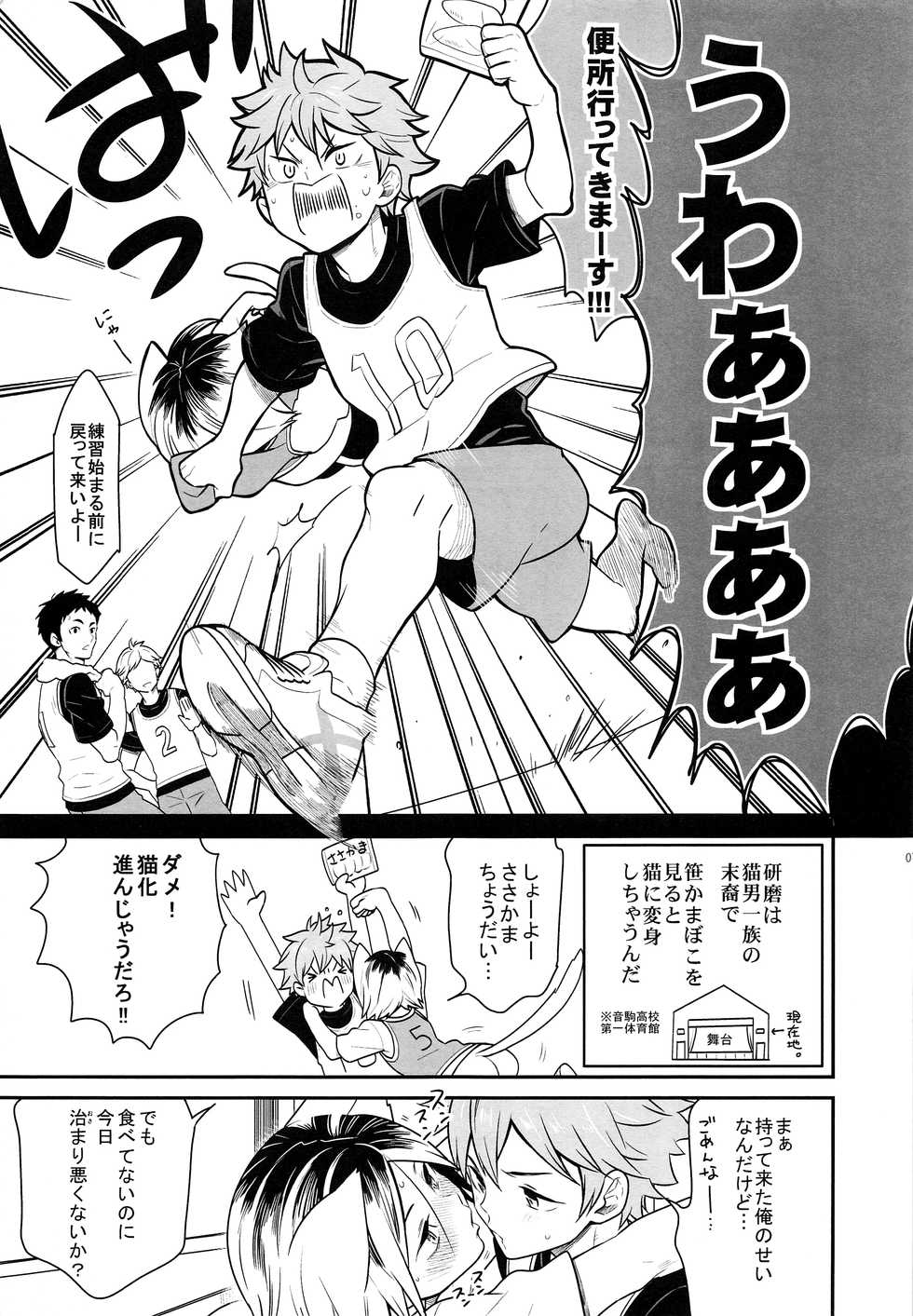 (RTS!!5) [Chigen TORINO (Kosugi)] Hina Neko 2 (Haikyuu!!) - Page 6