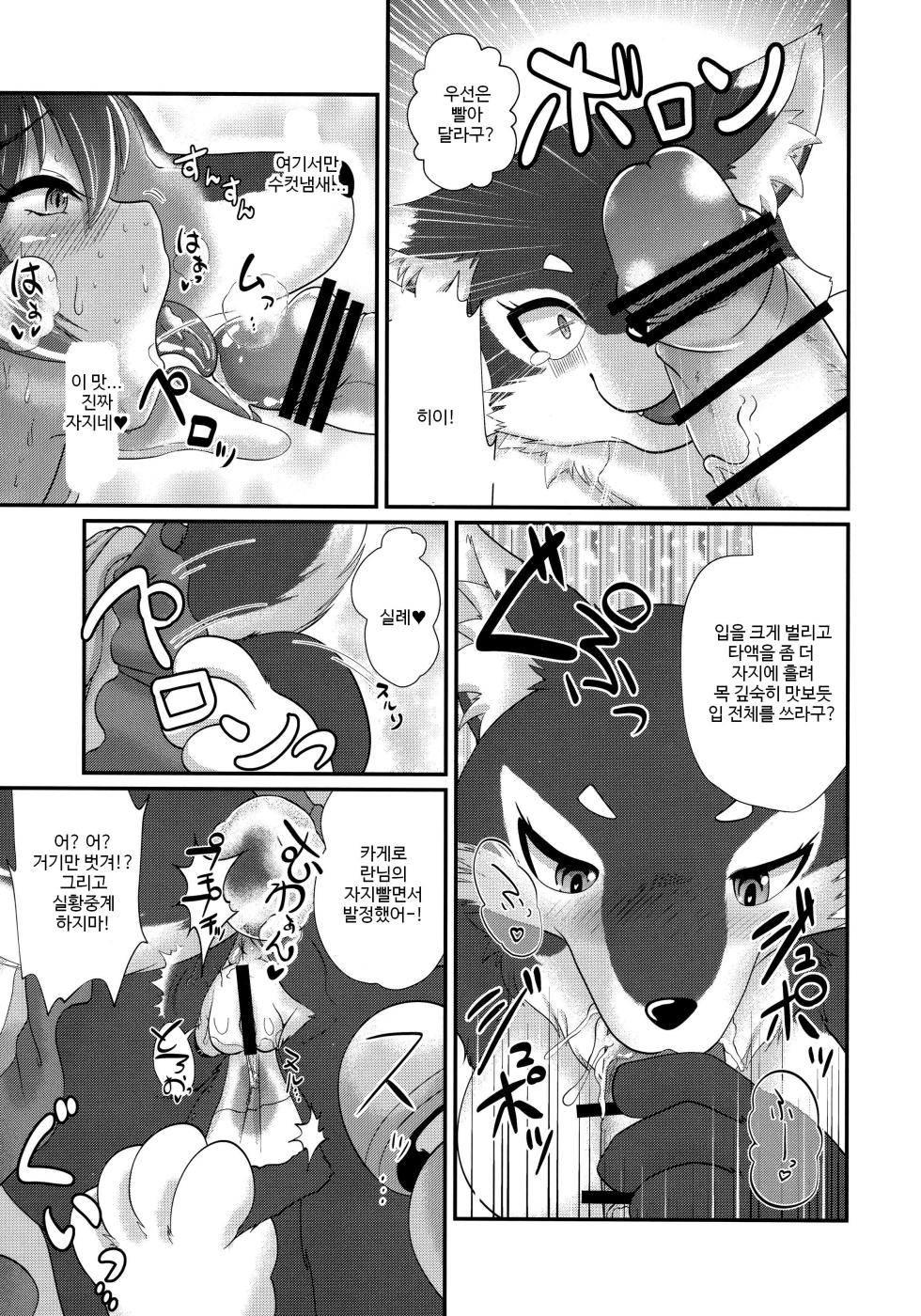 (Kemoket 6) [Kitsunenomori (Various)] DeliMofu 4U (Touhou Project) [Korean] [TeamHT] - Page 6