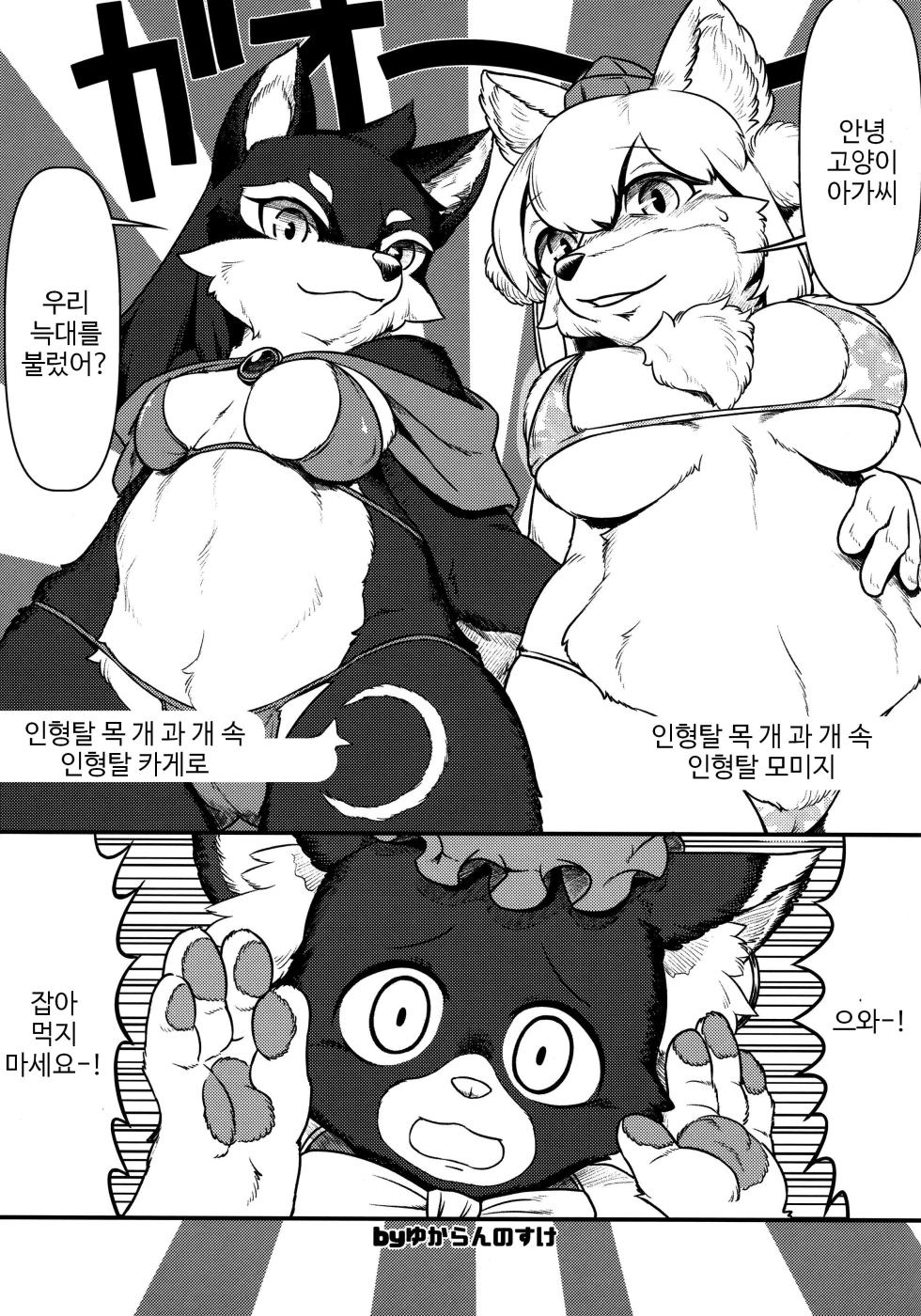 (Kemoket 6) [Kitsunenomori (Various)] DeliMofu 4U (Touhou Project) [Korean] [TeamHT] - Page 16