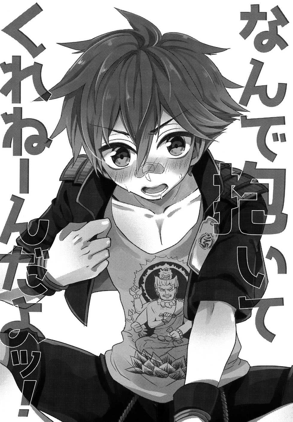 (Senka no Toki 10  Hatsuyume) [Ao Niwashi (Hyakkin)] Nande Daite Kurenen dayo! (Touken Ranbu) - Page 5