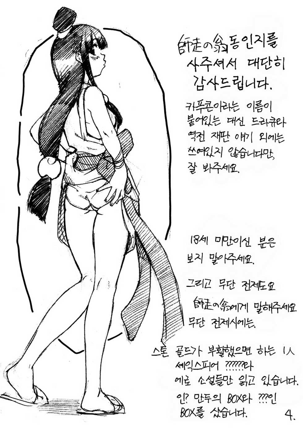 (C63) [Ngo Hay Yappunyan (Shiwasu No Okina)] Mattari Capcom | 진한 카푸콘 (Ace Attorney, Breath of Fire V) [Korean] [Project H] - Page 3