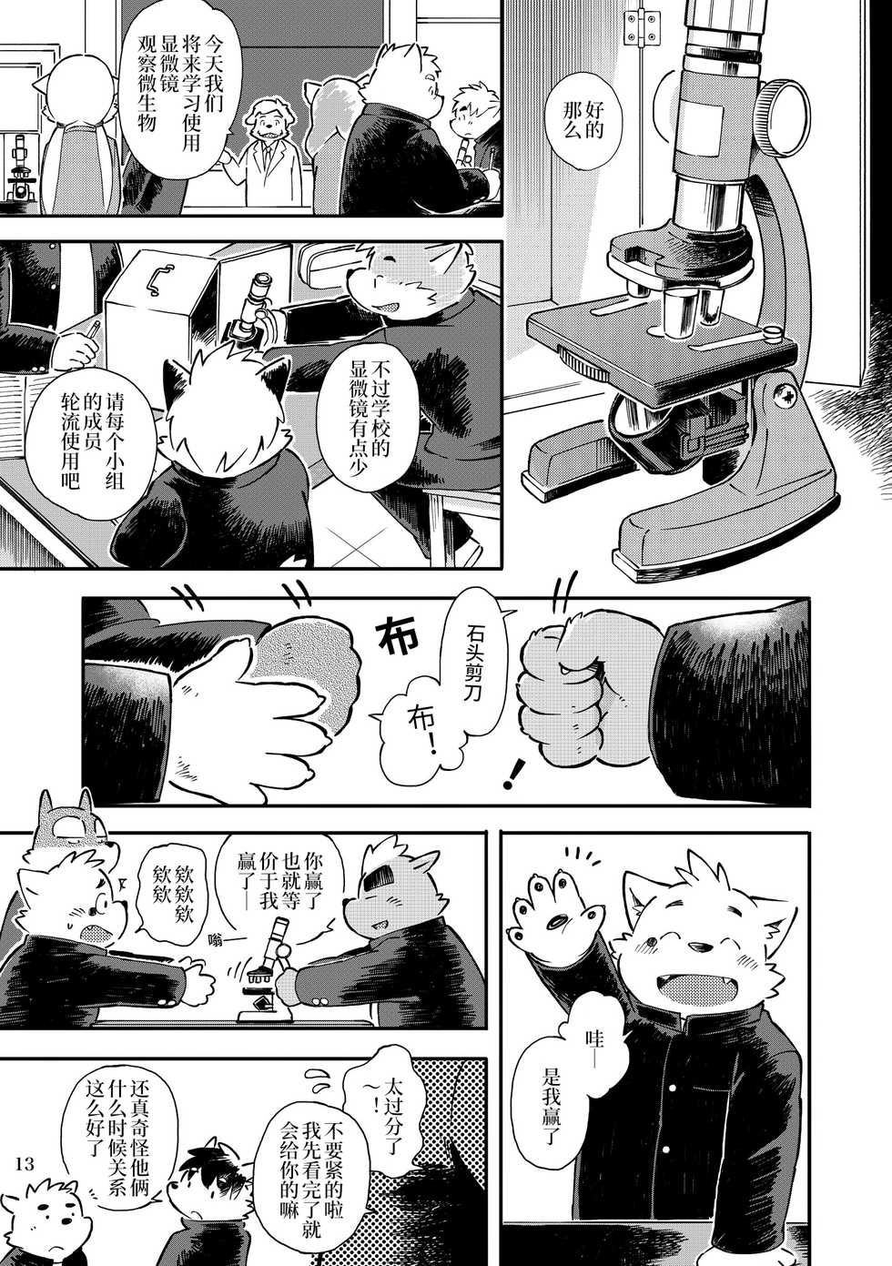 [Goroujirou (Kinoshita Jiroh)] Mekko Rarekko Chuu | 欺人者被欺者·中 [Chinese] [Digital] - Page 12