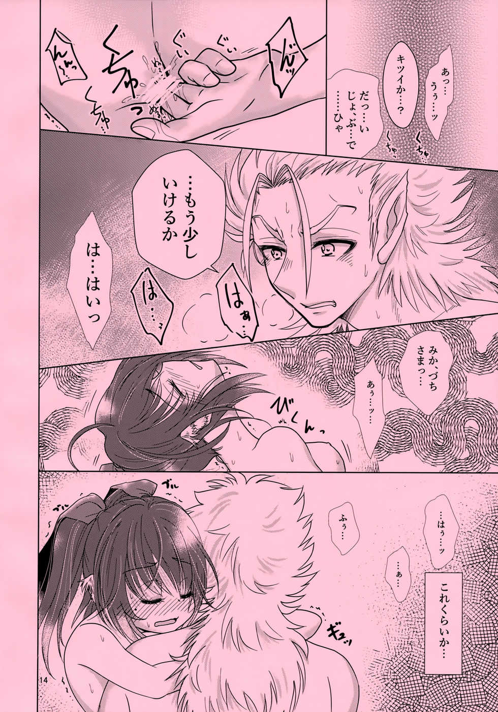 (C93) [Chouchin Goke (FGK)] Mikazuchi ga Riajuuda to Anija ga Ochitsukanai (Utawarerumono Itsuwari no Kamen) - Page 14