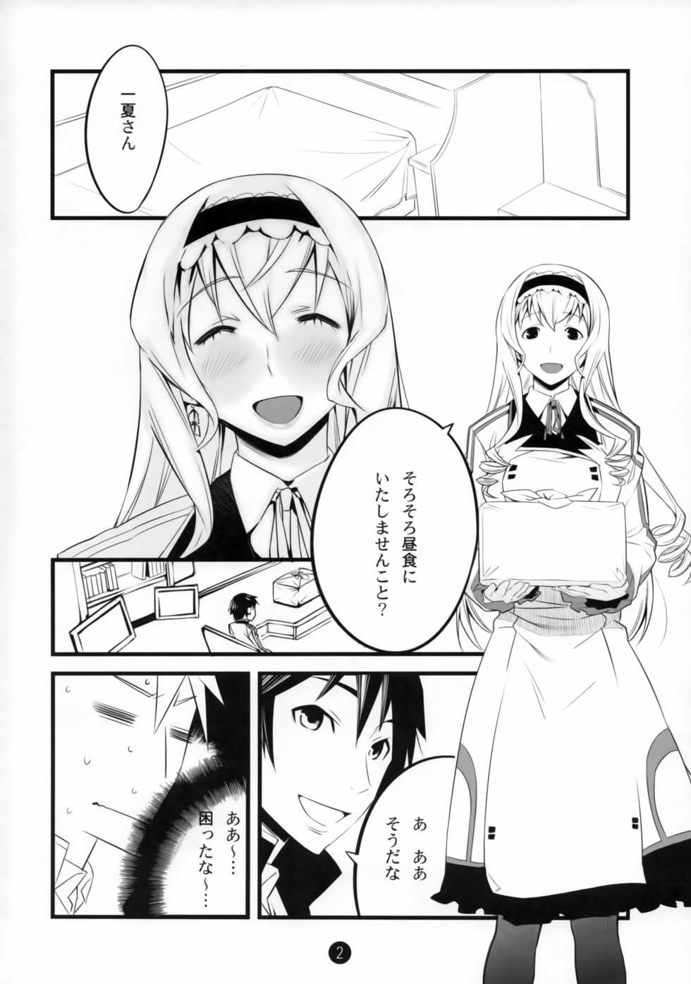 (COMIC1☆5) [Tansan Alkali (Tanru)] Summer Of Love (IS <Infinite Stratos>) - Page 3