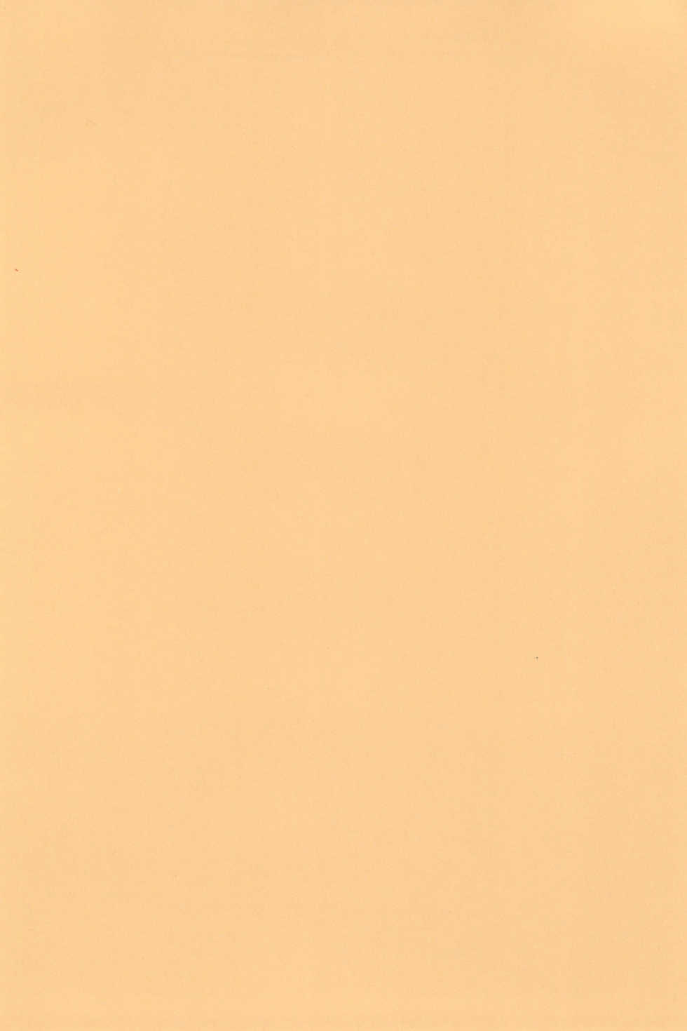 (C52) [P.A.Project (Various)] Totteoki no Mahou (10 Carat Torte!) - Page 4