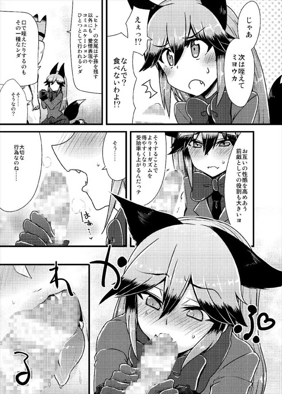 (Japariket 3) [Caution (Eitaisa)] Gingitsune-chan ni Hito no Koubi o Oshietai (Kemono Friends) - Page 7
