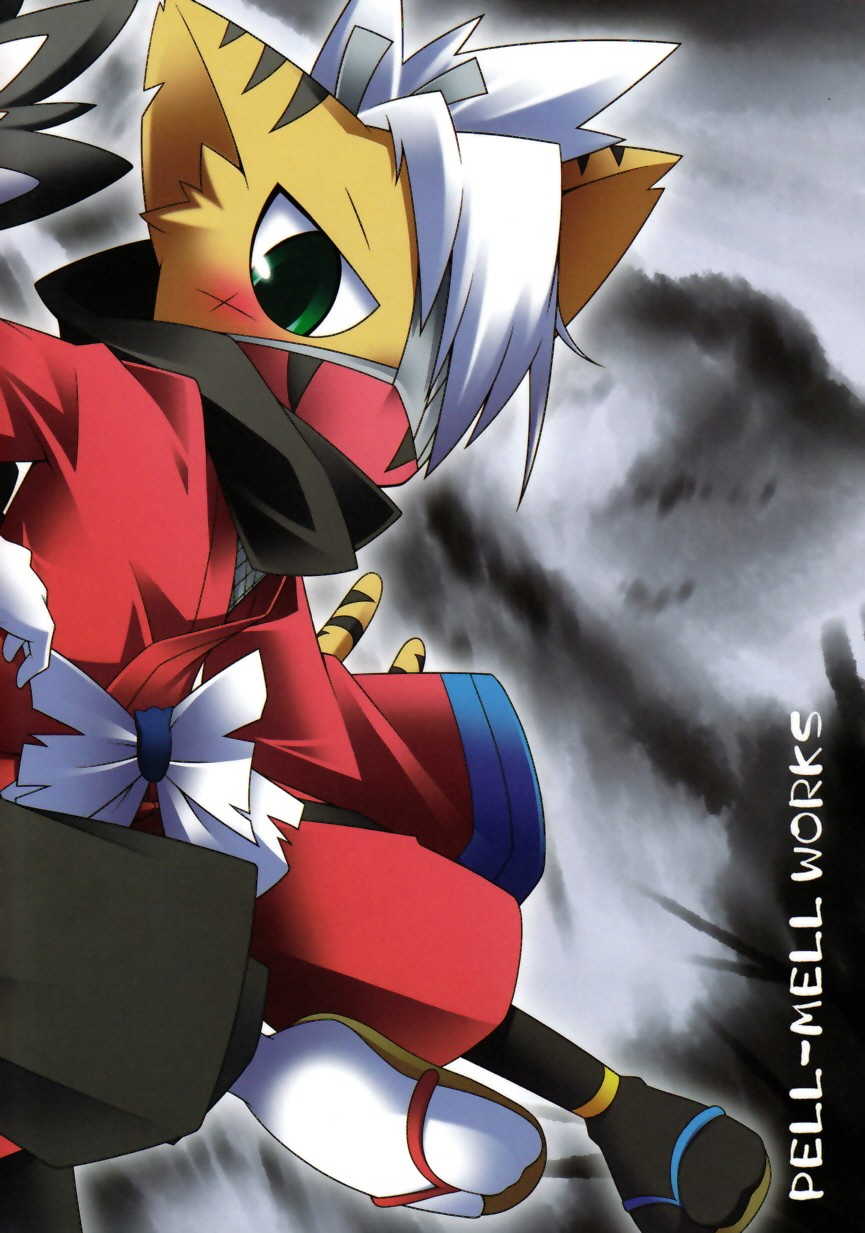 (Fur-st 3) [PELL-MELL WORKS (Kougami)] Omoi Some Shika (Pop'n Music) [Korean] [호접몽] - Page 2