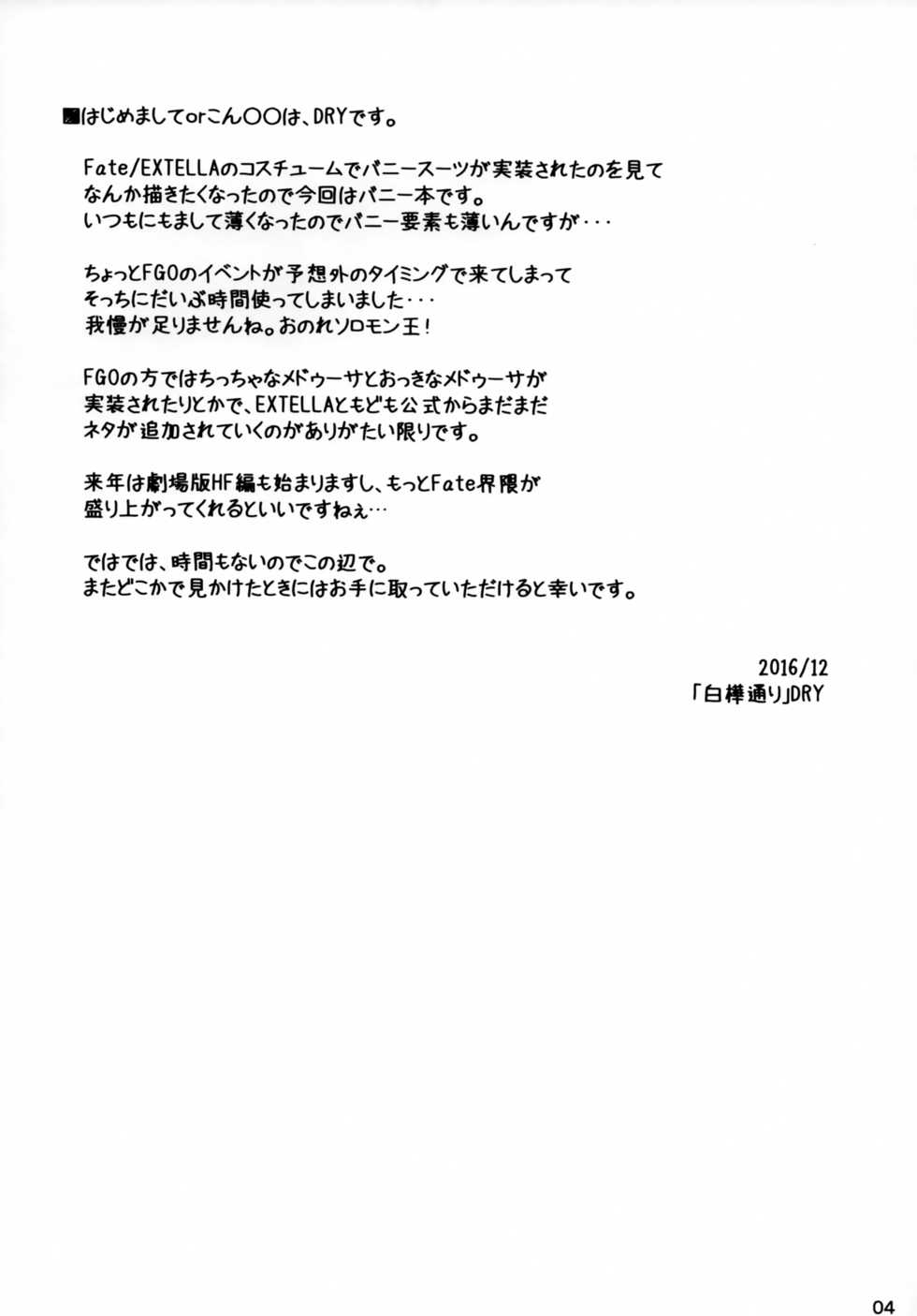 (C91) [Shirakaba Doori (DRY)] R11 (Fate/stay night) - Page 3