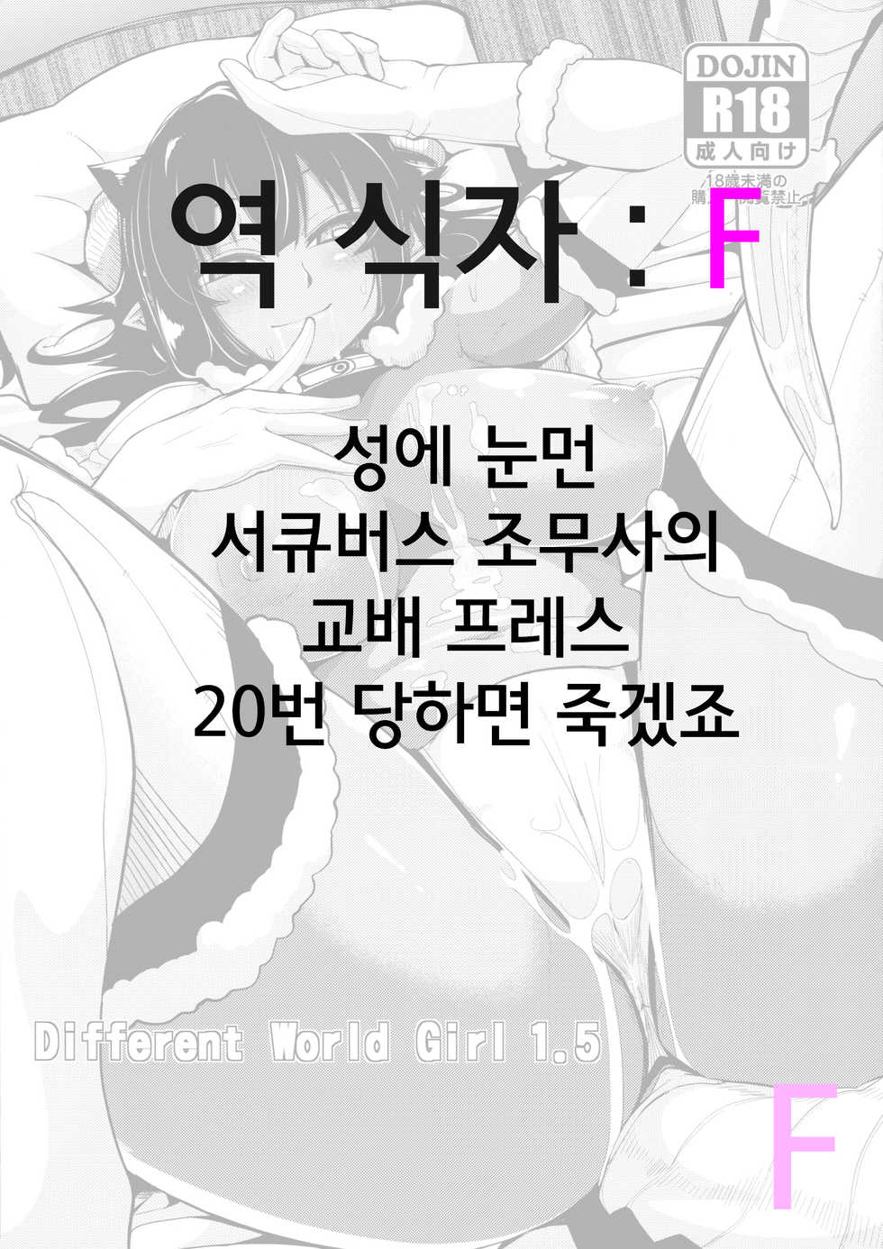 (C89) [Danball Man (Nikuman Umeew)] Different World Girl 1.5 [Korean] [F] - Page 13