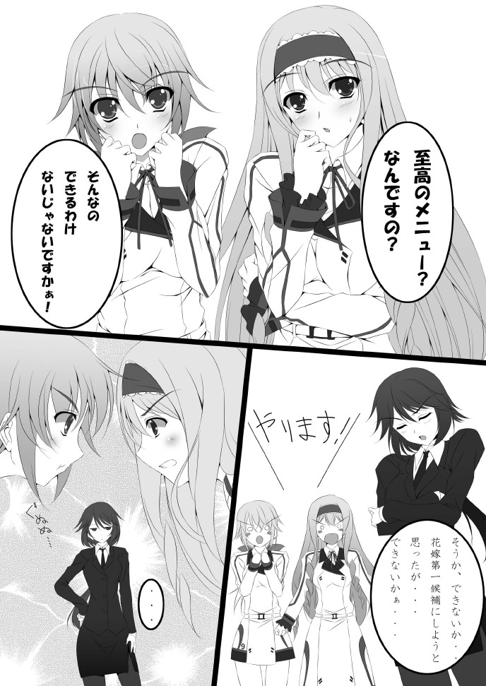 [ARCTANGENT (Asanuma Katsuaki)] Shinononono. (IS <Infinite Stratos>) [Digital] - Page 11