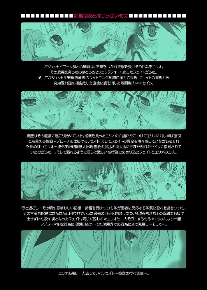 [DIEPPE FACTORY Darkside (Alpine)] Fate fire with fire Book II (Mahou Shoujo Lyrical Nanoha) [Digital] - Page 3