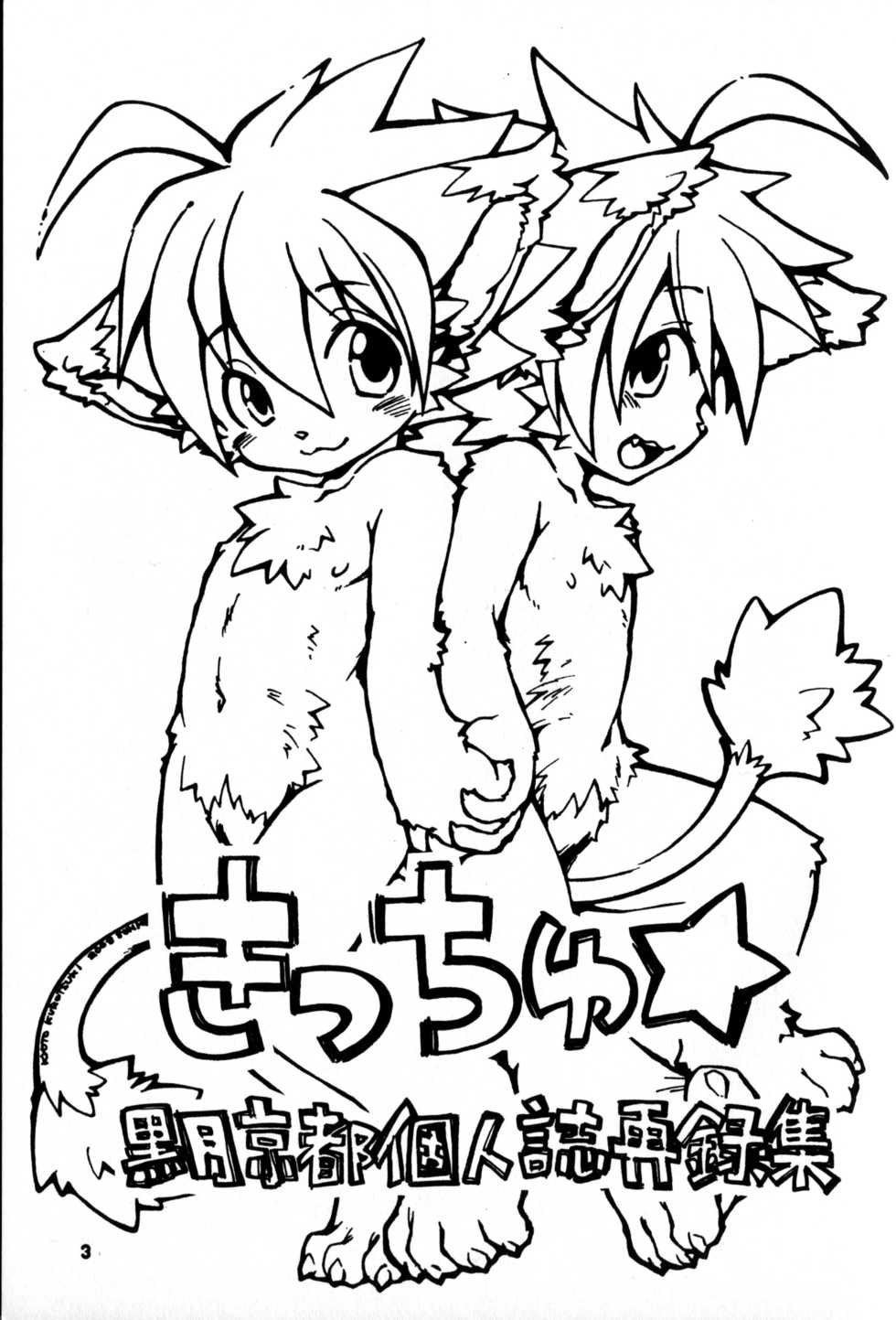 (C78) [KPTM'S (Kurotsuki Kyouto)] Kitsch! - Page 2