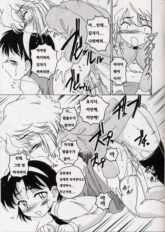 (C63) [Joshinzoku (Wanyanaguda)] Manga Sangyou Haikibutsu 06 (Detective Conan) [Korean] [로리군] - Page 18