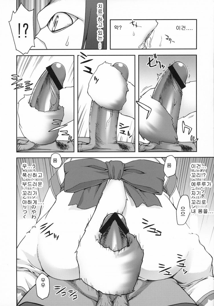 (CT9) [KABAYAKIYA (Unagimaru)] Eruru no Uta (Utawarerumono) [Korean] [로리군] - Page 5