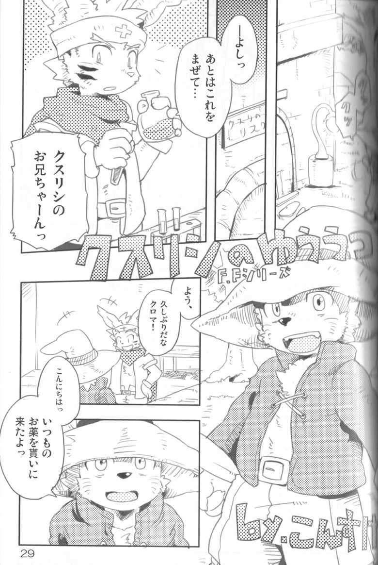 (C79) [Akai Muffler (Various)] Gensou-teki  Shokugyou - Page 29