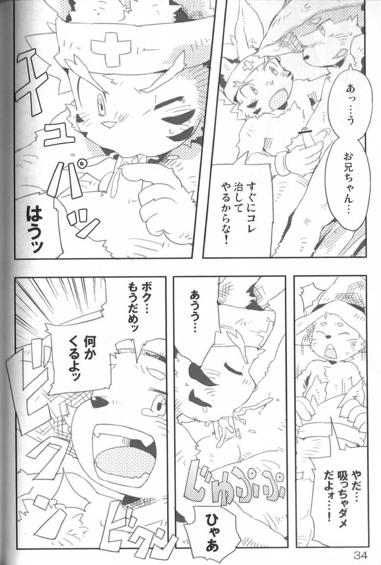 (C79) [Akai Muffler (Various)] Gensou-teki  Shokugyou - Page 34