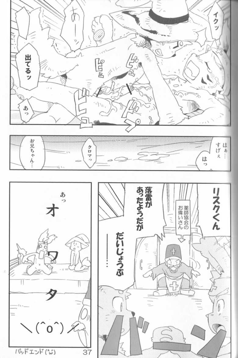 (C79) [Akai Muffler (Various)] Gensou-teki  Shokugyou - Page 37
