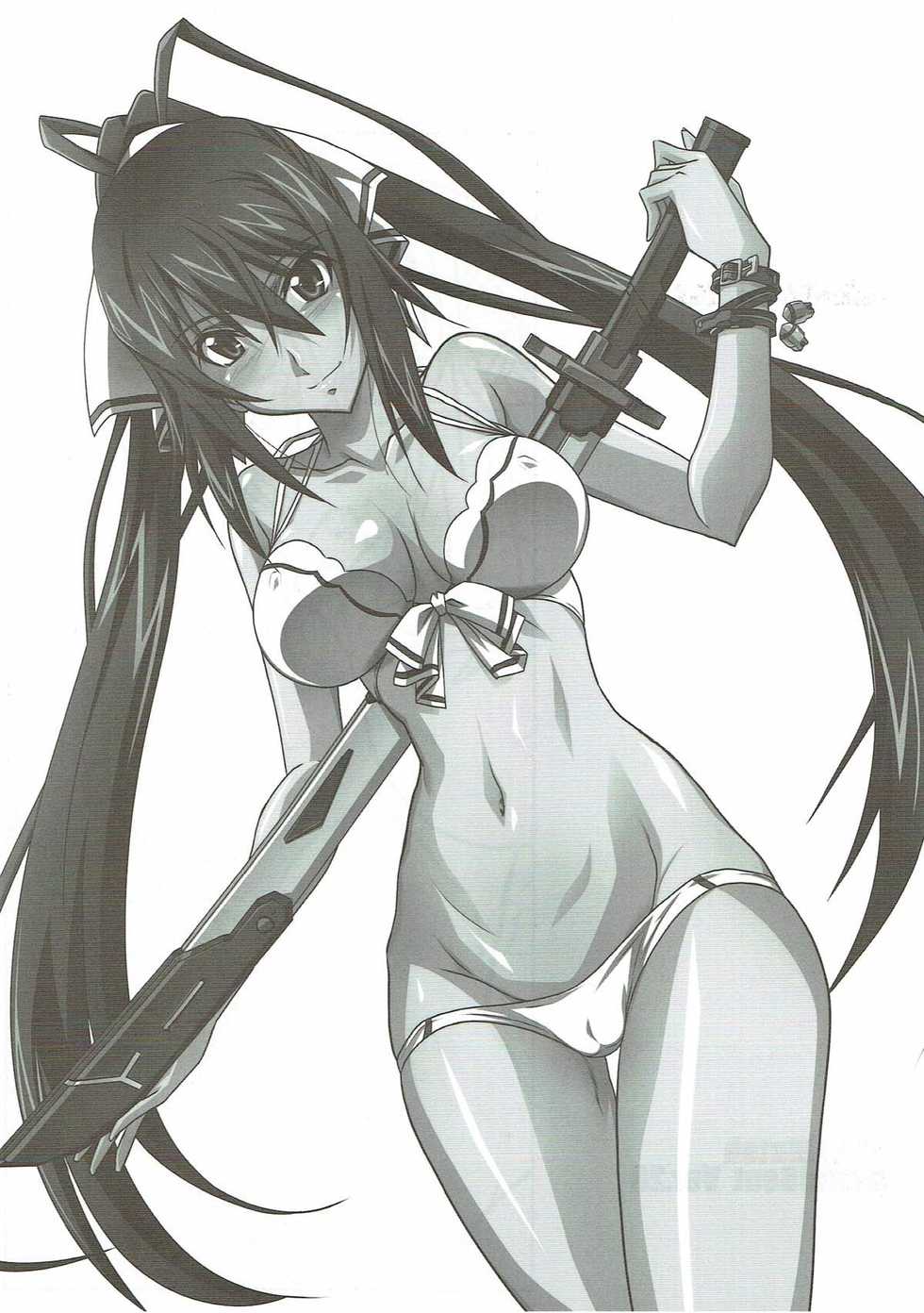 (Tora Matsuri 2015) [STUDIO TRIUMPH (Mutou Keiji)] Astral Bout SP02 (IS <Infinite Stratos>) - Page 21