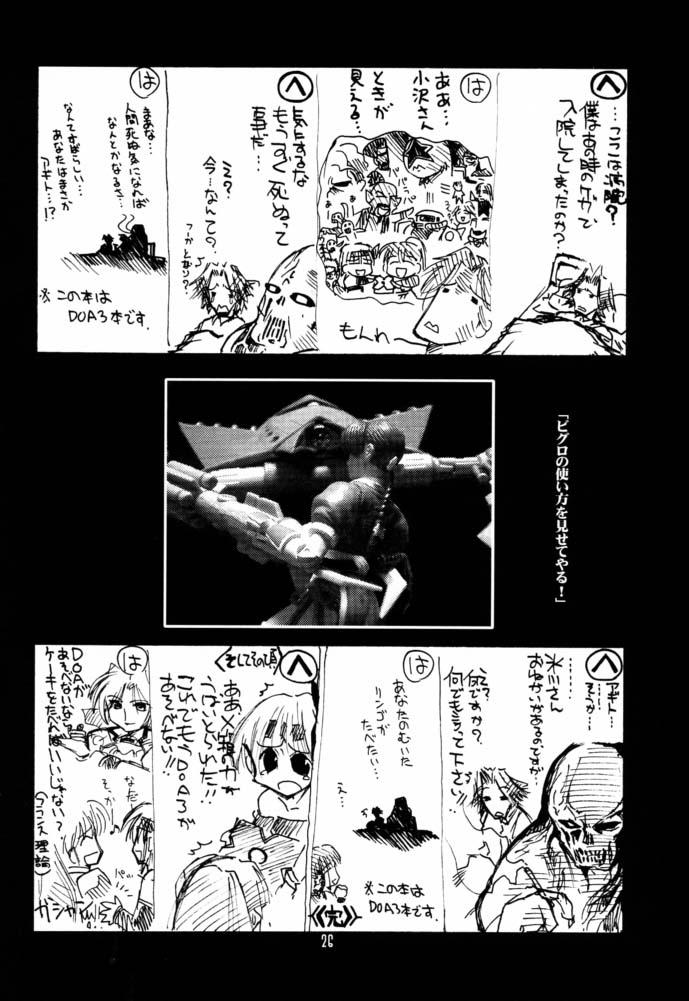 (C61) [U-A Daisakusen, Lapislazuli=corporation (Harada Shoutarou)] Ruridou Gahou CODE:16 (Dead or Alive) - Page 25