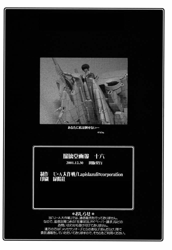 (C61) [U-A Daisakusen, Lapislazuli=corporation (Harada Shoutarou)] Ruridou Gahou CODE:16 (Dead or Alive) - Page 33