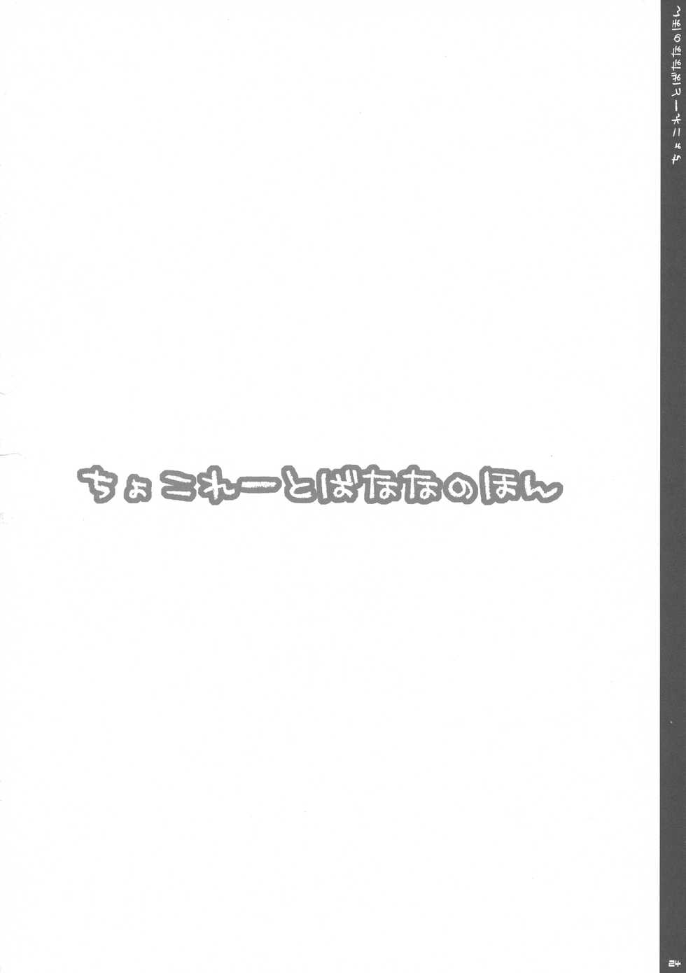 (C73) [PINK (Araiguma)] Chocolate Banana no Hon 1 (To LOVE-Ru) - Page 24