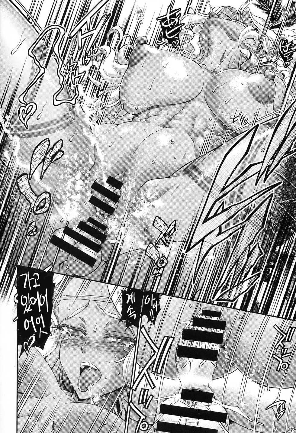 (C85) [R2 (Rakko)] AmaAma | 아마아마 (Dragon's Crown) [Korean] - Page 21