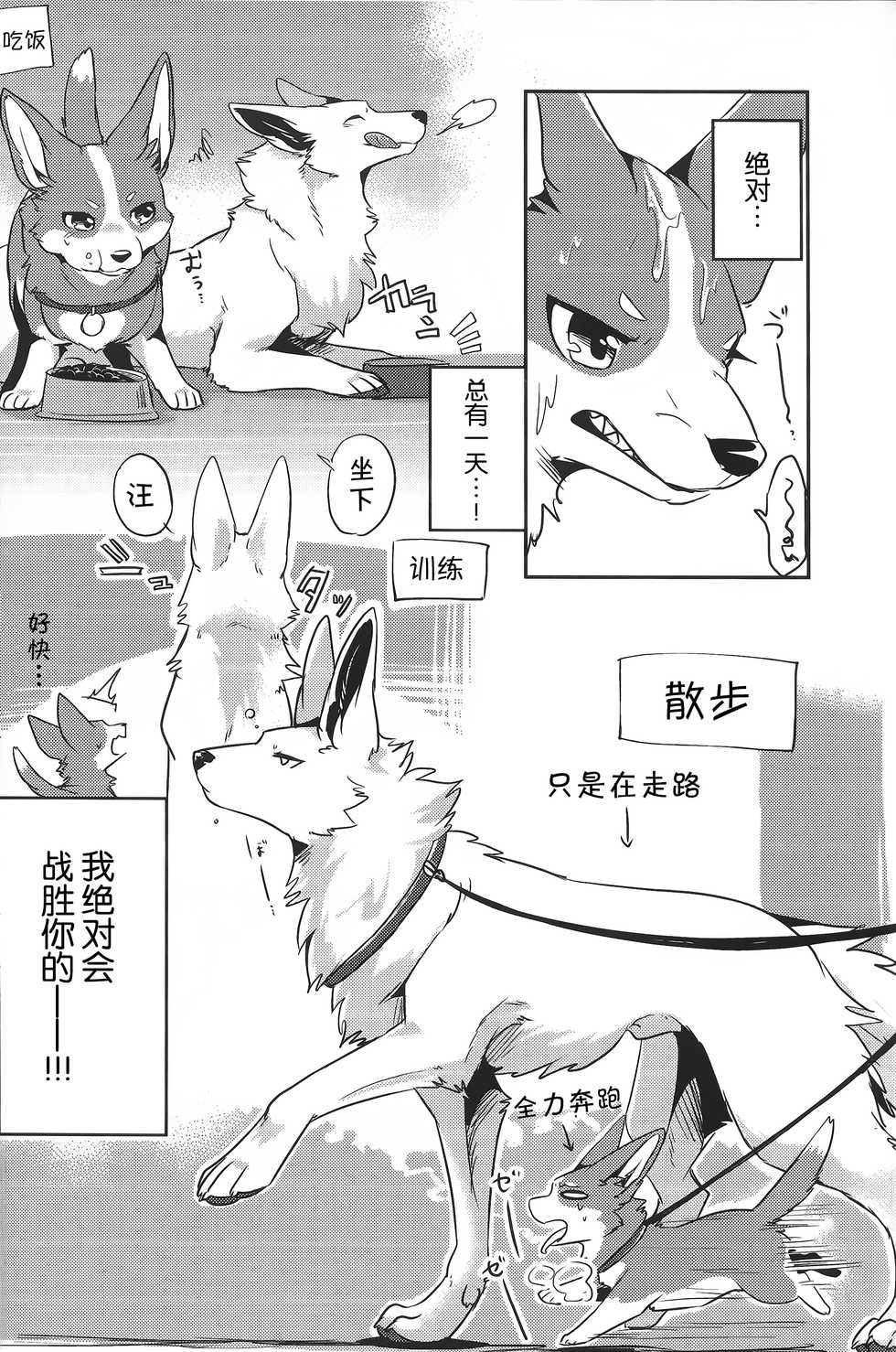 (Kansai! Kemoket 6) [Kaiten ParaDOGs (Diga Tsukune)] 1DK, Bokura to. | 恋人小公寓、与我俩。 [Chinese] [虾皮汉化组] - Page 7