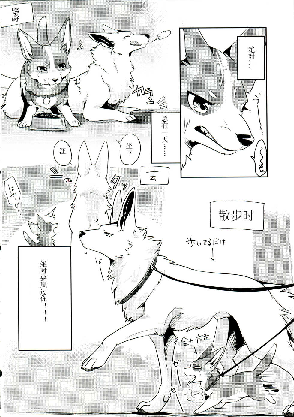 (Kansai! Kemoket 6) [Kaiten ParaDOGs (Diga Tsukune)] 1DK, Bokura to. | 一居室下的我们 [Chinese] [黎明汉化组] - Page 7