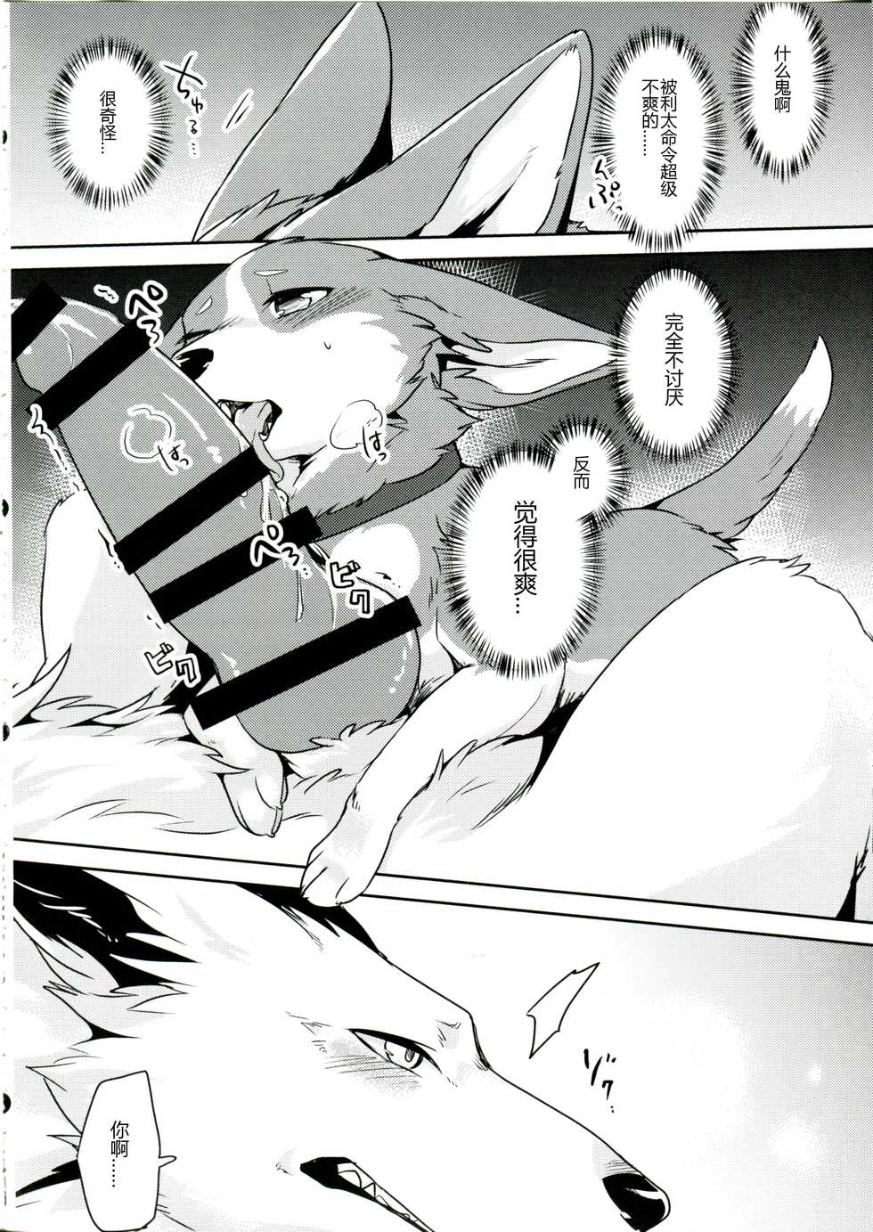 (Kansai! Kemoket 6) [Kaiten ParaDOGs (Diga Tsukune)] 1DK, Bokura to. | 一居室下的我们 [Chinese] [黎明汉化组] - Page 18